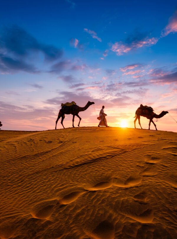 Indian,Cameleers,(camel,Driver),Bedouin,With,Camel,Silhouettes,In,Sand