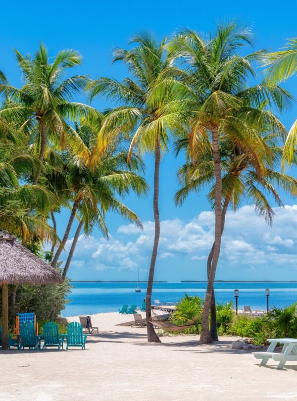 Palm,Trees,And,Umbrellas,In,Beautiful,Beach,In,Tropical,Island